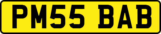 PM55BAB