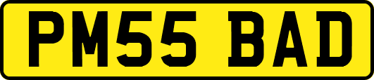 PM55BAD