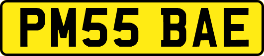 PM55BAE