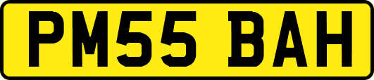 PM55BAH