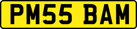 PM55BAM