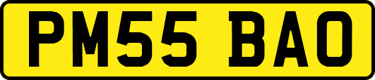 PM55BAO