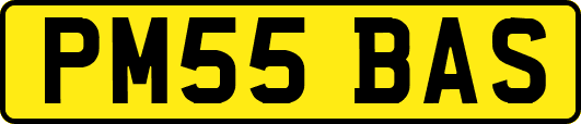PM55BAS