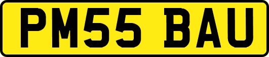 PM55BAU