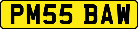 PM55BAW