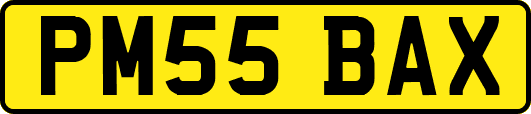 PM55BAX