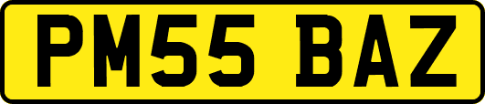 PM55BAZ