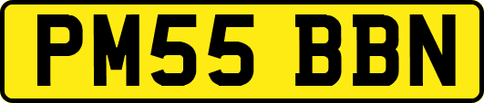 PM55BBN