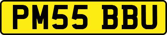 PM55BBU