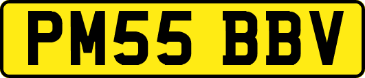PM55BBV