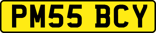 PM55BCY