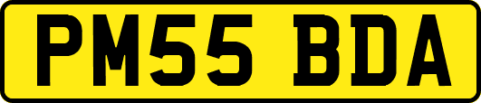 PM55BDA
