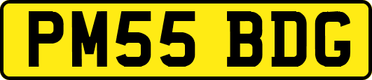 PM55BDG