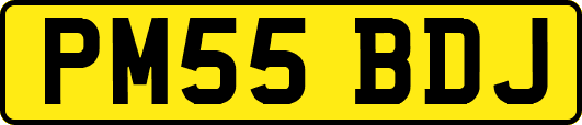 PM55BDJ