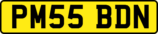 PM55BDN