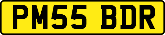 PM55BDR