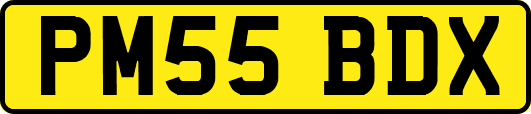 PM55BDX