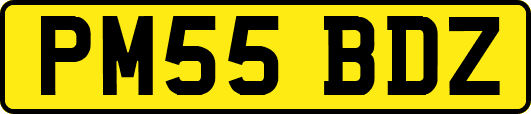 PM55BDZ