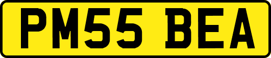PM55BEA