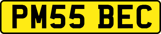 PM55BEC