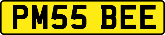 PM55BEE