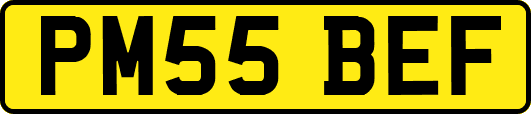 PM55BEF