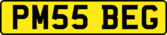 PM55BEG