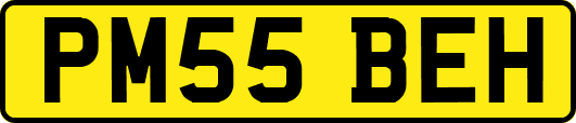 PM55BEH
