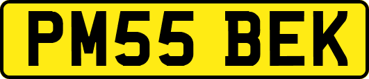 PM55BEK