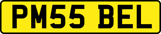 PM55BEL
