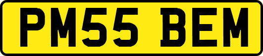 PM55BEM