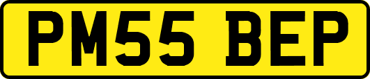 PM55BEP
