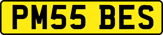 PM55BES