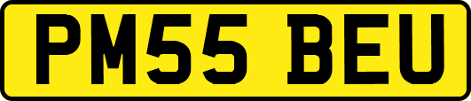PM55BEU