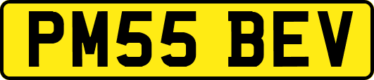 PM55BEV