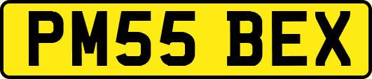 PM55BEX