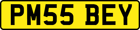 PM55BEY