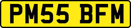 PM55BFM