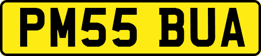 PM55BUA