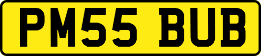 PM55BUB