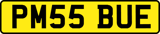 PM55BUE