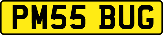 PM55BUG