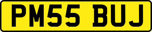 PM55BUJ