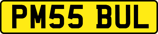 PM55BUL