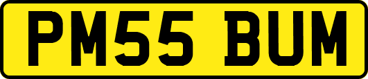PM55BUM