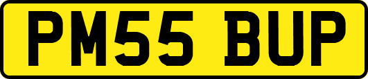 PM55BUP