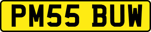 PM55BUW