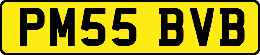 PM55BVB