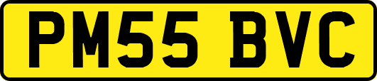 PM55BVC