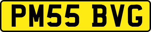 PM55BVG